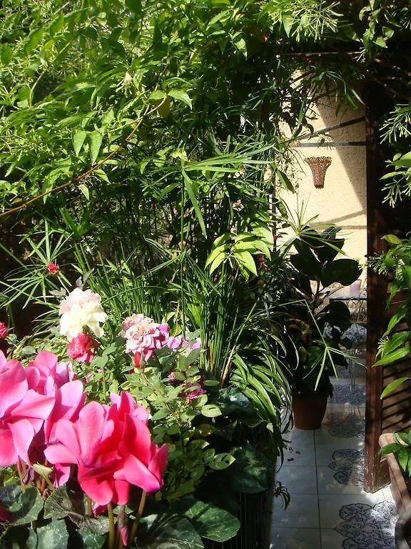 Cagliari House Bed & Breakfast Rome 0*,  Italy