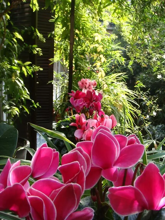 Cagliari House Bed & Breakfast Rome