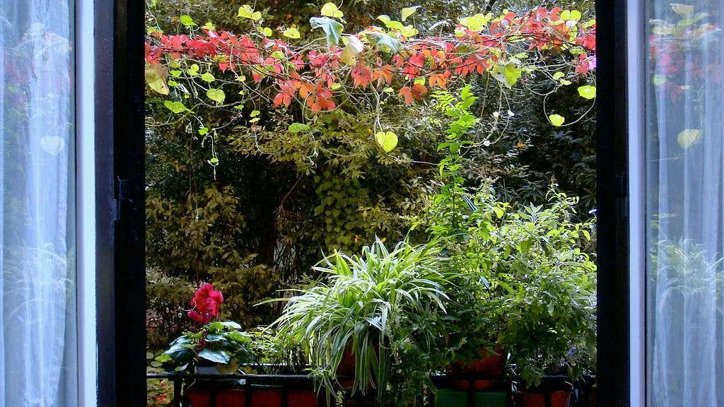 Cagliari House Bed & Breakfast Rome Italy